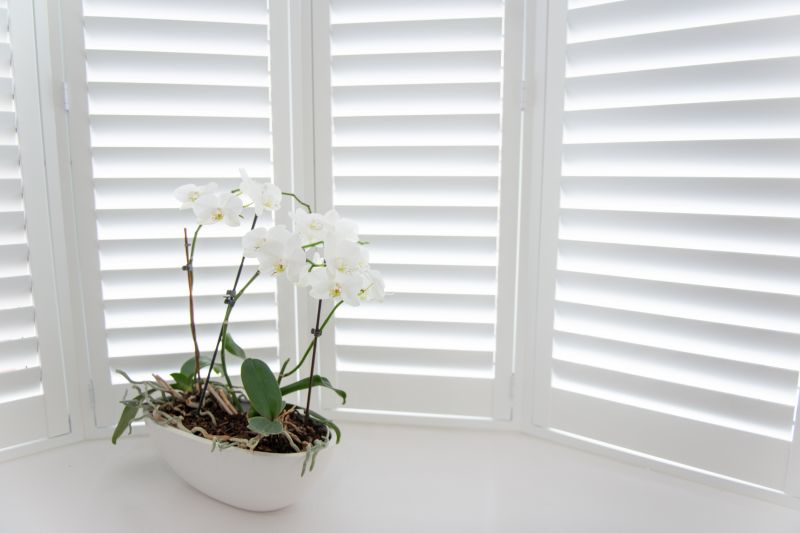 Louvered Shutters Installation in Overland Park, KS